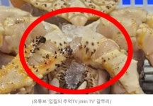 서시장얼음수산 | 유명 수산시장인데… 킹크랩 ‘얼음 치기’ 논란