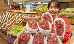 글로리특산품;복이네공방 | “신품종 적포도 ‘글로리 스타’ 맛보세요”