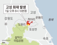 강원심층수고성영업소 | 1년만에 또 강원 고성 산불… 태풍급 바람 타고 확산