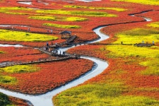 보통3교(하) | 1025개 ‘보석 섬’ 신안, 22개 교량 중 13개 완성… 이젠 차로 다닌다