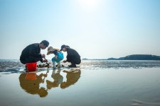 ‘서해의 몰디브’ 민어도, ‘감성 캠핑 성지’ 병술만… 여름보다 ‘핫’한 태안의 바다
