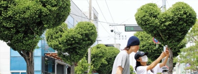 이마트24 청주가로수점 | 청주 가로수길에 ‘하트’ 걸렸네