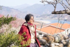 오씨에스78농원 | "섬진강에 매화 심은 지 55년째, 이렇게 서글픈 봄 처음이네"