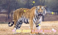 '축구장 4배 크기' 2200억 숲으로 떠났다…태범과 무궁 근황