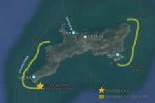 점박이물범, 백령도만 산다?…대청도·소청도에서도 서식 확인