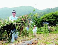 삼성농아원원아식당 | 삼성 ‘전략적 공헌’ 돌아보면 기쁨 두배