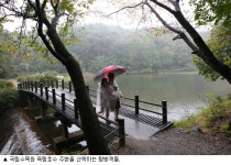 작은동이층 | 540년 오롯한 자연의 숨이 내 몸 깊숙이