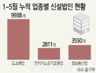 영강나루터법인 | 5월 신설법인 8406개… 전달보다 5.8% 줄어