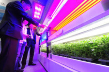 2010 LED/OLED 응용기술산업전