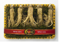 홍삼313액 | 설날 선물은 `인삼`과 `홍삼액`으로
