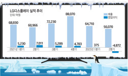 엘지디스플레이(주)M5공장 | LG디스플레이, 신사업으로 위기탈출 '고군분투'