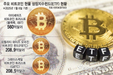 비트코인 ETF 자금 흐름, 시장 심리 변화 읽는 나침반