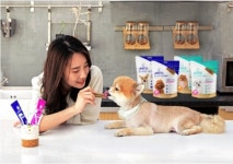 반려인 1천500만 시대…유통街, 3조시장 '펫펨족' 잡기 분주