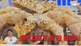 서시장얼음수산 | 킹크랩 배딱지 안에 얼음을...수산시장 '신종 바가지' 논란