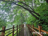 초여름 자연 속 힐링 여행지 ‘청주미동산수목원’