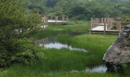 한라산 ‘1100고지 습지’ 람사르 습지 등록