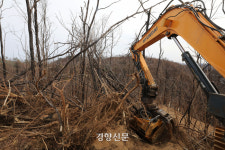 조은임업 박재민 | 울진 산불 1년…잦은 화마에 일터 잃을까 속 앓는 ‘임업인’과 갈 곳 잃은 ‘이재민’