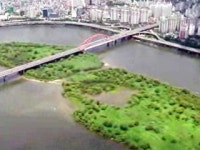 한강 밤섬 50년 전보다 면적 6배↑