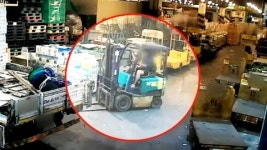 종방매청과과일 | 청과시장 과일 상습 절도...20대 형제 검거