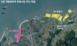 ‘조개 캐기 체험’ 명소의 변신…K-갯벌 살리는 길
