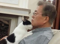 '퍼스트 캣’ 찡찡이 근황 ‘치명적 귀여움’