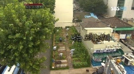 주식회사 자람씨네텃밭 | 꾸준하고 정직한 노동에서 즐거움을 느끼는 '도시농부'들