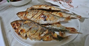 전어회 맛은 누가 뭐래도 된장빵이 최고야!