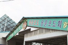어머... 정말 포도가 그냥 포도인 줄만 알고 드세요?