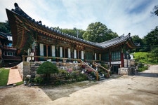 꽃, 나무, 볼거리 다 있다... 봄맞이 인천 트레킹 코스