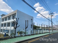 학교앞꿈꾸는몽당연필 | "학교 담장, 지나친 가지치기로 '몽당연필 나무' 됐다"