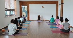 사계절숲놀이터&사계절요가원 | "너무 애쓰지 마세요", 숲속 요가원에서 만난 내면의 평화