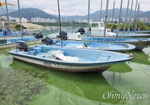 회상사 대동지점 | 낙동강 다시 가보니 녹조 범벅 "배양해서 키우는 꼴"