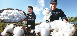 통찰력과 정직, 문익점이 실천한 ‘목화씨의 법칙’
