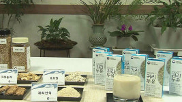 알츠하이머 잡는 '슈퍼푸드' 귀리, 이제 음료로 먹는다