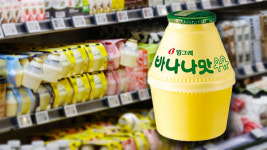 빙그레우유도봉대리점 | 바나나맛우유도 오른다…빙그레, 유제품 가격 인상