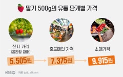 만 원 딸기 유통비는 4,300원, 온라인 가락시장에선?
