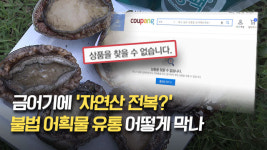 어업회사법인 천지가전복 주식회사 | 금어기에 ‘자연산 전복’?…인터넷은 ‘불법 어획물’ 사각지대