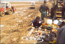 푸라곰커피로스터스봄비와씨앗 | 봄비 그친 후 행복의 씨 뿌리는 주말 전원