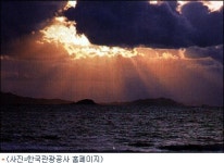면사무소 직원이 섬마을 영세민 등쳐…사기 행정 물의
