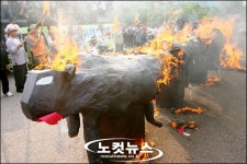 불타는소초량 | '불타는 미국산 소'