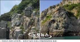 여수ㆍ보성 무인도에서 미기록종 등 발견