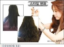 코지헤어.탈모두피센타 | 탈모인, 걱정 없이 헤어스타일 살려