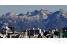 명산산림경영컨설팅 | 산에 '보물'이 있다…산림가치 20배 증가