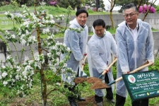 사과나무800사과당예산점 | 예산군, 서울 종로에 예산사과나무길 조성