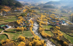 Foto aus Naver-Suchergebnissen 2