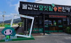 전남도, 사회적경제기업 지원으로 성장 기반 마련한다