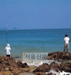 36번국도-국토를 가로지른다