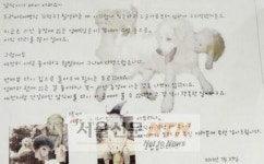 수암명물회초장 | 수암골 명물 삼식이 구타당해 요양중