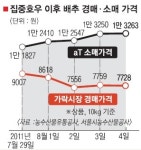 다희네채소과일소매 | 집중호우이후 채소값은…경매가 내렸는데 소매가는 올라