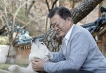 ‘애견인’ 文 “개 식용 금지 신중히 검토할 때”